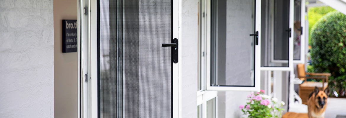 ForceField security windows installed in a home